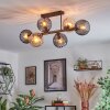 Koyoto ceiling light, globe light Amber, Smoke-coloured, 6-light sources