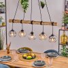 Koyoto hanging light, globe light, pendant light Amber, clear, Smoke-coloured, 5-light sources
