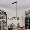 Ripoll hanging light, globe light, pendant light Amber, Smoke-coloured, 5-light sources