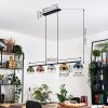 Koyoto hanging light, globe light, pendant light blue, chrome, gold, green, clear, coppery, Smoke-coloured, 5-light sources