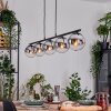 Gastor hanging light, globe light, pendant light chrome, clear, Smoke-coloured, 5-light sources