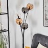 Koyoto globe light, floor lamp Amber, clear, Smoke-coloured, 5-light sources