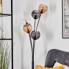 Koyoto globe light, floor lamp Amber, clear, Smoke-coloured, 5-light sources