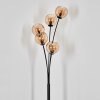 Koyoto globe light, floor lamp Amber, 5-light sources