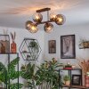 Koyoto ceiling light, globe light Amber, clear, Smoke-coloured, 6-light sources