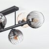 Koyoto ceiling light, globe light Amber, clear, Smoke-coloured, 6-light sources