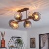 Koyoto ceiling light, globe light Amber, clear, Smoke-coloured, 6-light sources
