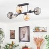 Koyoto ceiling light, globe light Amber, clear, Smoke-coloured, 6-light sources
