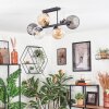 Koyoto ceiling light, globe light Amber, clear, Smoke-coloured, 6-light sources