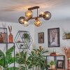 Koyoto ceiling light, globe light Amber, clear, Smoke-coloured, 6-light sources