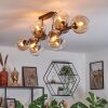Koyoto ceiling light, globe light Amber, clear, Smoke-coloured, 10-light sources