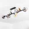 Koyoto ceiling light, globe light Amber, clear, Smoke-coloured, 10-light sources