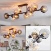 Koyoto ceiling light, globe light Amber, clear, Smoke-coloured, 10-light sources