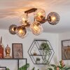 Koyoto ceiling light, globe light Amber, clear, Smoke-coloured, 10-light sources