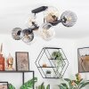 Koyoto ceiling light, globe light Amber, clear, Smoke-coloured, 10-light sources