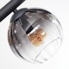 Koyoto ceiling light, globe light Amber, clear, Smoke-coloured, 10-light sources