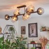 Koyoto ceiling light, globe light Amber, clear, Smoke-coloured, 10-light sources
