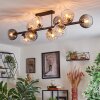 Koyoto ceiling light, globe light Amber, clear, Smoke-coloured, 10-light sources