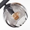Koyoto ceiling light, globe light Amber, Smoke-coloured, 10-light sources