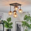 Koyoto ceiling light, globe light Amber, clear, Smoke-coloured, 5-light sources