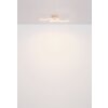 Globo lighting Eloise ceiling light LED chrome, white, 1-light source
