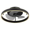 Globo lighting Conway Ceiling fan light LED black, 1-light source, Remote control