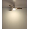 Globo lighting Gale Ceiling fan light LED Wood like finish, Ecru, white, 1-light source, Remote control
