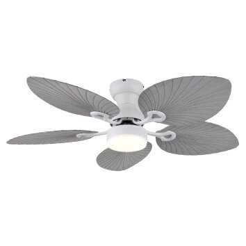 Globo lighting Elise Ceiling fan light LED grey, white, 1-light source, Remote control