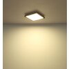 Globo lighting Fitzpatrick ceiling light LED black, 1-light source