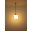 Globo lighting Kladora hanging light matt nickel, 1-light source