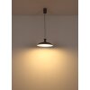 Globo lighting Rocha hanging light LED grey, 1-light source