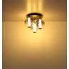 Globo lighting Lacy ceiling light LED black, 1-light source
