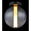 Globo lighting Lacy ceiling light LED black, 1-light source