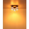 Globo lighting Felicia ceiling light black, 3-light sources