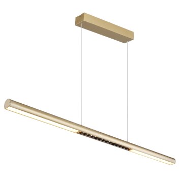 Globo lighting Cody hanging light LED gold, 1-light source