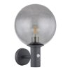 Globo lighting Hedwig outdoor light, 1-light source