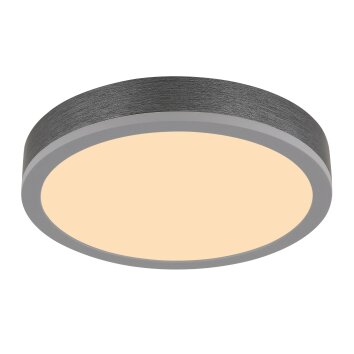 Globo lighting Doro ceiling light LED grey, silver, 1-light source