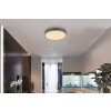 Globo lighting Doro ceiling light LED grey, silver, 1-light source