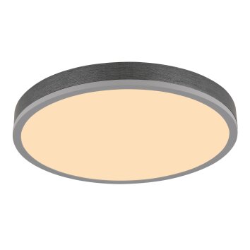 Globo lighting Doro ceiling light LED grey, silver, 1-light source