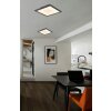 Globo lighting Doro ceiling light LED silver, white, 1-light source