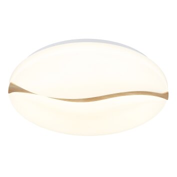 Globo lighting Leticia ceiling light LED white, 1-light source