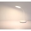 Globo lighting Kenny table lamp LED white, 1-light source