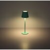 Globo lighting Vannie table lamp LED green, 1-light source