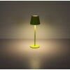 Globo lighting Vannie table lamp LED green, 1-light source