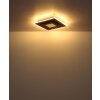 Globo lighting Woody ceiling light LED Ecru, black, 1-light source
