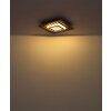 Globo lighting Woody ceiling light LED Ecru, black, 1-light source