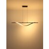 Globo lighting Watkins hanging light LED black, 1-light source