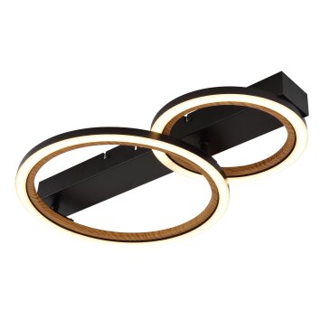 Globo lighting Dakari ceiling light LED black, 1-light source