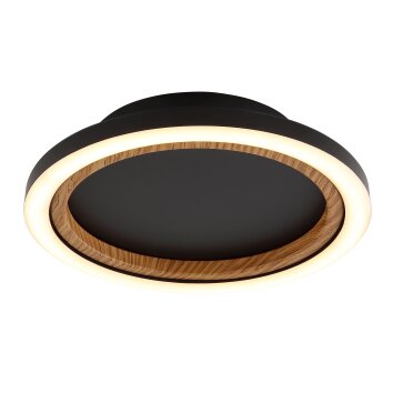 Globo lighting Dakari ceiling light LED black, 1-light source