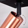 Tulla Ceiling Light copper, black, 3-light sources
